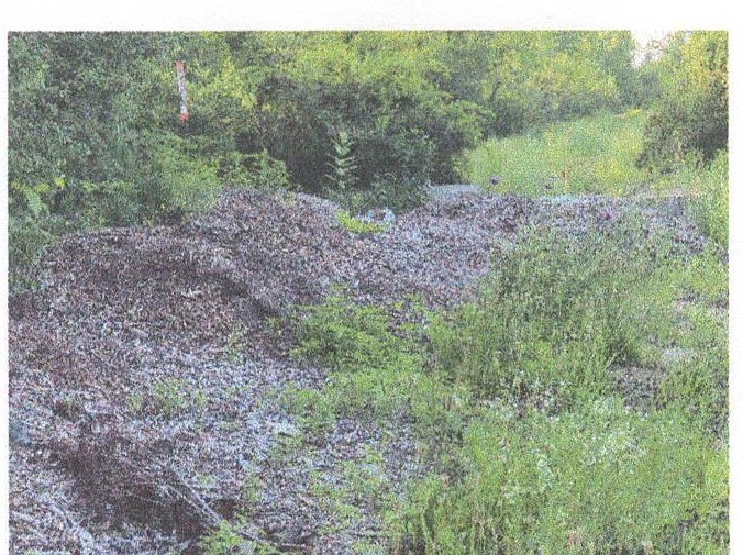 Chip piles waiting at the Woodbine roundabout