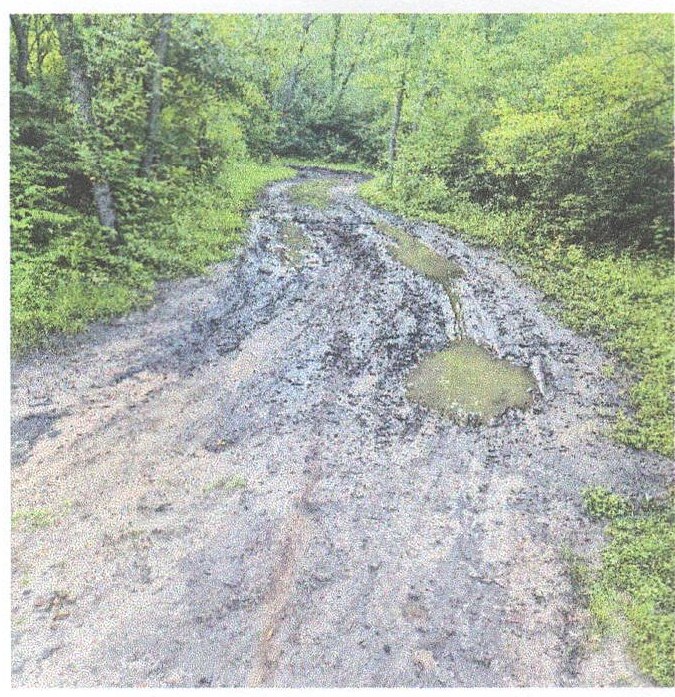 Ruts in the chipped trail at Woodbine Launch